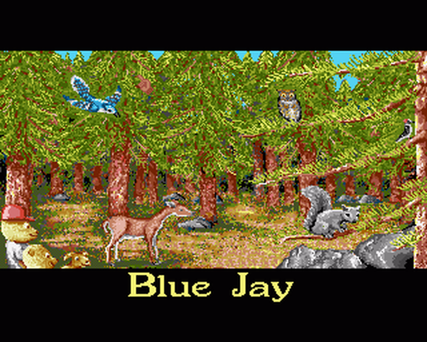 Amiga GameBase Barney_Bear_Goes_Camping Free_Spirit 1991