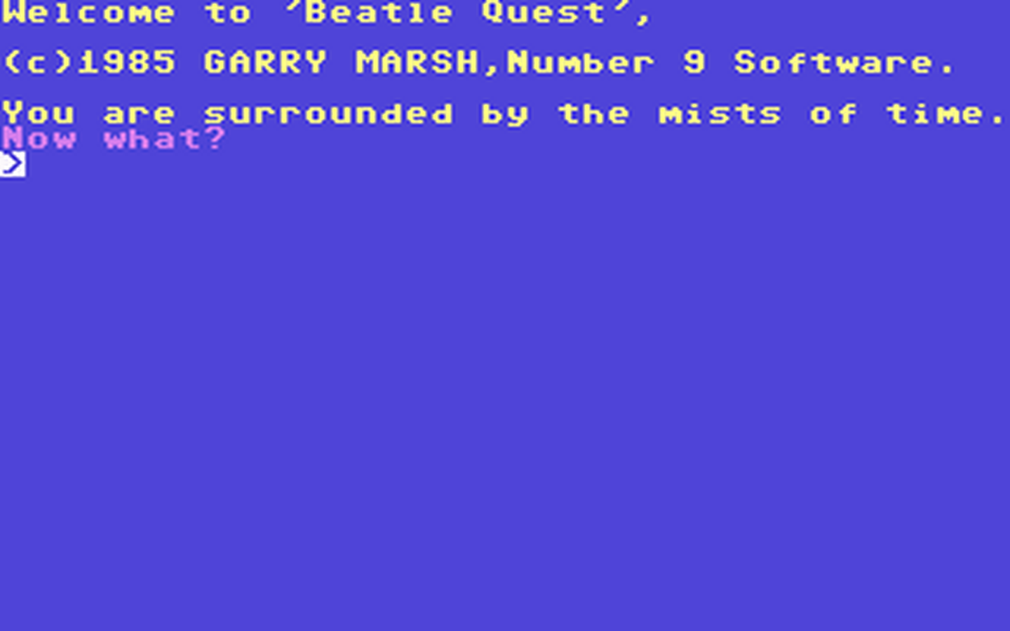 C64 GameBase Beatle_Quest Number_9_Software 1985