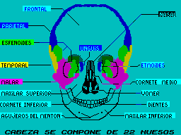 ZX GameBase Esqueleto_Humano,_El MicroHobby 1986