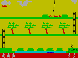 ZX GameBase Jungle_Trouble Durell_Software 1983