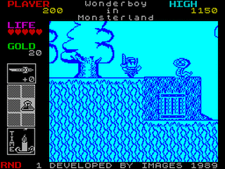 ZX GameBase Super_Wonder_Boy Activision 1989