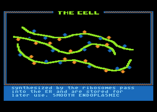 Atari GameBase Cell,_The ACE 1985