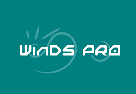 [MULTI] WinDS PRO 17/02/13 - 2013.4