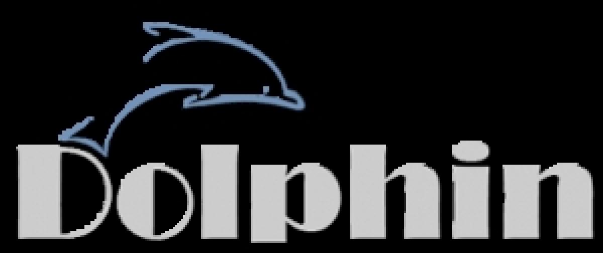 [Wii/GameCube] Dolphin 4.0.2